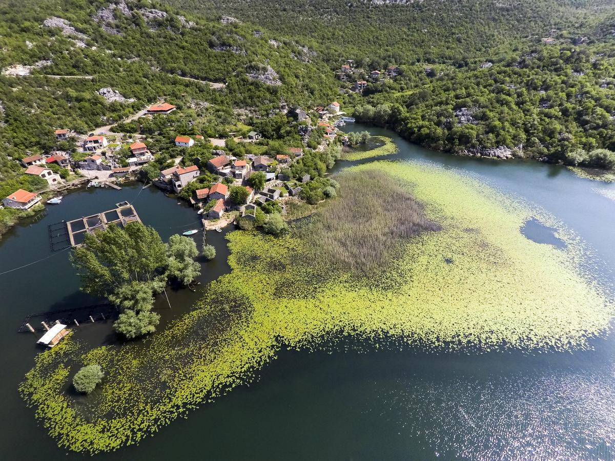 Villa Skadar Lake Karuc Dış mekan fotoğraf